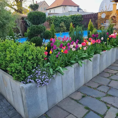 Gemuetliches Mit Privatem Aussenpool