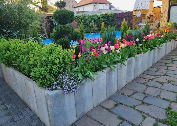 Gemuetliches Mit Privatem Aussenpool